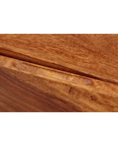 Meuble TV 2 portes 160 cm en bois massif de seesham & métal Sierra Wood