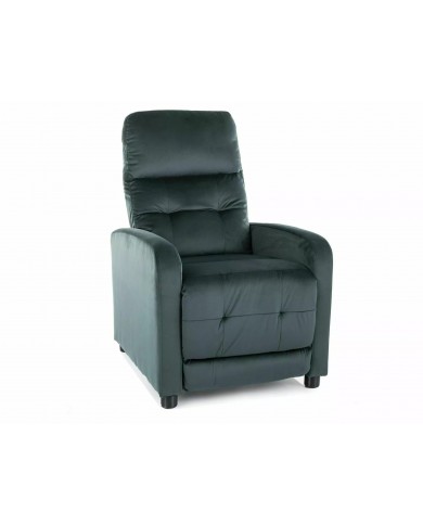Offre commerciale exceptionnelle : Fauteuil Inclinable Tissu Velours Lotus