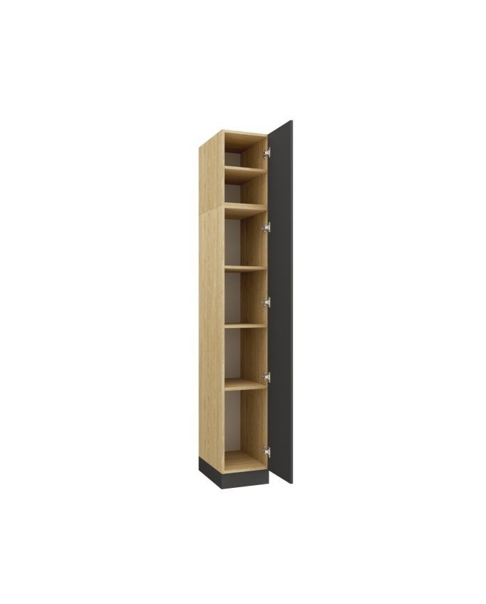 Armoire avec une porte et étagères 35 cm gris graphite Ambiance