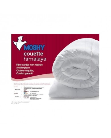Couette en fibre respirante housse microfibre - HIMALAYA
