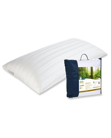 Oreiller Latex Naturel Indéformable HEVEA