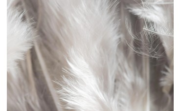 Garnissage en duvet de canard ? Le Secret d'un confort inégalé